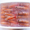 SCAMPI IMPERIALI VASCHETTA